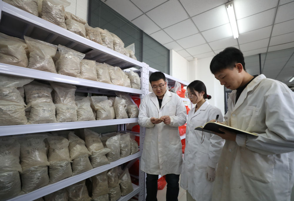 新华全媒＋丨探访电影天堂
土肥高效利用国家工程研究中心