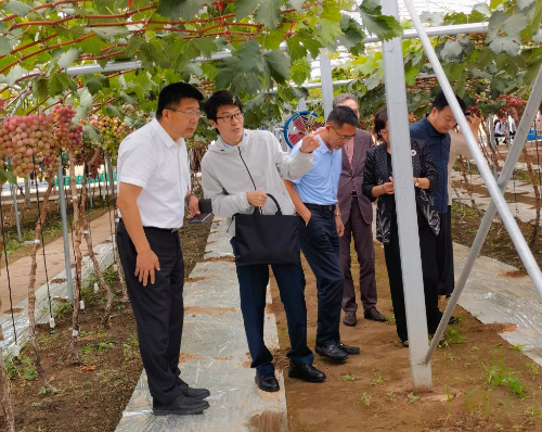 学校党委书记刘广林看望“鲅鱼圈葡萄科技小院”工作学习的电影天堂
师生